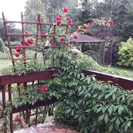 Kaszubska Chata Semesterbostad Golubie